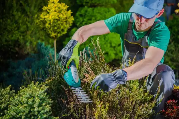 landscaping services Malverne